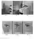 Fig. 02 - Additive compositions for pigmented disinfection and methods thereof