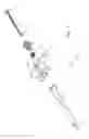 Fig. 02 - Syringe