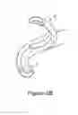 Fig. 03 - VASCULAR CATHETER