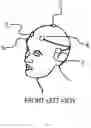 Fig. 06 - TRANSCRANIAL ELECTRICAL STIMULATION DEVICE HAVING MULTIPURPOSE ELECTRODES