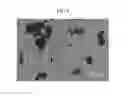 Fig. 09 - Method for producing colloidosome microcapsules