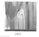 Fig. 10 - Biological detection system