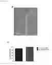 Fig. 05 - Microfluidic chip for analysis of cell motility and methods for using same