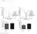 Fig. 06 - Microfluidic chip for analysis of cell motility and methods for using same