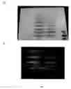Fig. 06 - APPARATUS AND METHOD FOR AEROSOL DEPOSITION OF NANOPARTICLES ON A SUBSTRATE