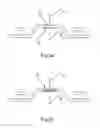 Fig. 04 - AEROSOL GENERATOR DEVICE AND NEBULIZER SYSTEM WITH SUCH A DEVICE