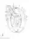 Fig. 07 - Induction heating coil
