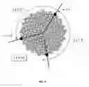 Fig. 05 - Abrasive article having a non-uniform distribution of openings