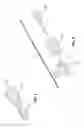Fig. 07 - Systems and methods for tendon-driven robotic mechanisms