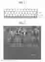 Fig. 02 - Polyimide laminated film and method of preparing polyimide laminated film