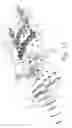 Fig. 02 - Gear arm assembly