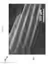 Fig. 04 - Photopolymer resins with solid and liquid phases for polymer-derived ceramics