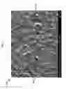 Fig. 05 - Photopolymer resins with solid and liquid phases for polymer-derived ceramics
