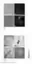 Fig. 10 - LARGE SCALE GENERATION OF FUNCTIONAL MEGAKARYOCYTES AND PLATELETS FROM HUMAN EMBRYONIC STEM CELLS UNDER STROMAL-FREE CONDITIONS