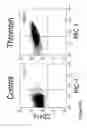 Fig. 23 - LARGE SCALE GENERATION OF FUNCTIONAL MEGAKARYOCYTES AND PLATELETS FROM HUMAN EMBRYONIC STEM CELLS UNDER STROMAL-FREE CONDITIONS