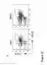 Fig. 24 - LARGE SCALE GENERATION OF FUNCTIONAL MEGAKARYOCYTES AND PLATELETS FROM HUMAN EMBRYONIC STEM CELLS UNDER STROMAL-FREE CONDITIONS