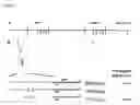 Fig. 02 - PROMOTERS, EXPRESSION CASSETTES, VECTORS, KITS, AND METHODS FOR THE TREATMENT OF ACHROMATOPSIA AND OTHER DISEASES