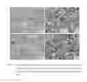 Fig. 11 - Retention Of Mechanical Properties In Steel Alloys After Processing And In The Presence Of Stress Concentration Sites