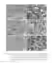 Fig. 12 - Retention Of Mechanical Properties In Steel Alloys After Processing And In The Presence Of Stress Concentration Sites