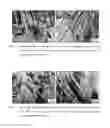 Fig. 18 - Retention Of Mechanical Properties In Steel Alloys After Processing And In The Presence Of Stress Concentration Sites