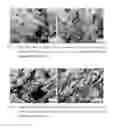 Fig. 20 - Retention Of Mechanical Properties In Steel Alloys After Processing And In The Presence Of Stress Concentration Sites