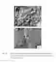 Fig. 25 - Retention Of Mechanical Properties In Steel Alloys After Processing And In The Presence Of Stress Concentration Sites