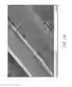 Fig. 167 - Silk performance apparel and products and methods of preparing the same