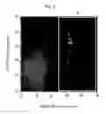 Fig. 05 - Cell detection method