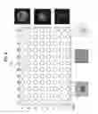 Fig. 08 - Cell detection method