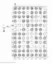 Fig. 09 - Cell detection method