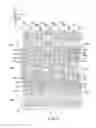 Fig. 07 - Display device