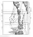 Fig. 06 - Mobile Device with Tandem Lenses