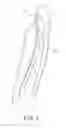 Fig. 05 - Mounting surfaces for wiper blades