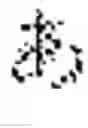 Fig. 02 - Input device and input method