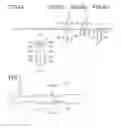 Fig. 07 - Label medium and cassette