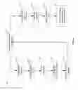 Fig. 02 - METHODS FOR MICROBIAL IDENTIFICATION BY MASS SPECTROMETRY