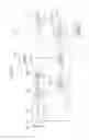 Fig. 10 - Imaging sensor, imaging system, and moving body
