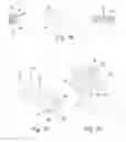 Fig. 07 - Implantable compression screws
