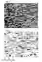 Fig. 02 - Material obtained by compaction and densification of metallic powder(s)