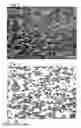 Fig. 03 - Material obtained by compaction and densification of metallic powder(s)