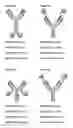 Fig. 02 - NOVEL FUSION POLYPEPTIDE SPECIFIC FOR LAG-3 AND PD-1