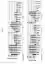 Fig. 06 - Anti-GITR antibodies and methods of use thereof