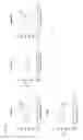 Fig. 49 - Anti-GITR antibodies and methods of use thereof