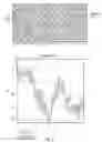 Fig. 03 - Small mobile stem cells (SMS) and uses thereof
