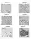 Fig. 07 - Small mobile stem cells (SMS) and uses thereof
