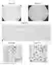 Fig. 10 - Small mobile stem cells (SMS) and uses thereof