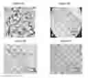 Fig. 11 - Small mobile stem cells (SMS) and uses thereof