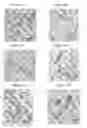 Fig. 12 - Small mobile stem cells (SMS) and uses thereof