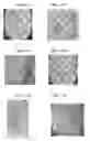 Fig. 15 - Small mobile stem cells (SMS) and uses thereof