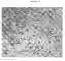 Fig. 23 - Small mobile stem cells (SMS) and uses thereof